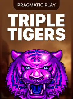 Triple Tigers, slot by Pragmatic Play